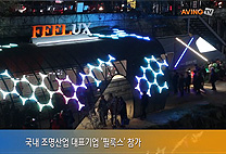 2014 서울빛초롱축제