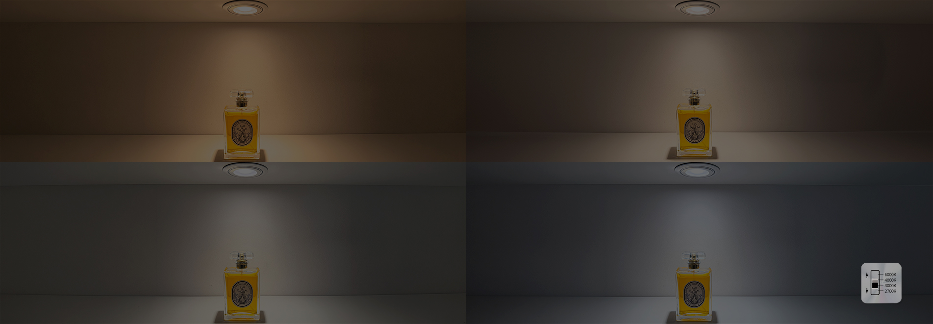 [d]arc sessions