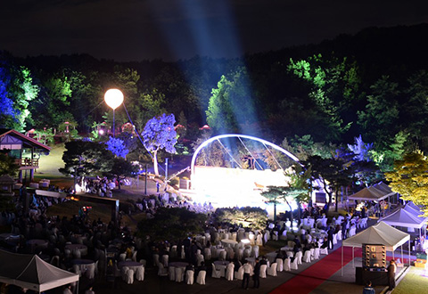 2015 Lighting Concert