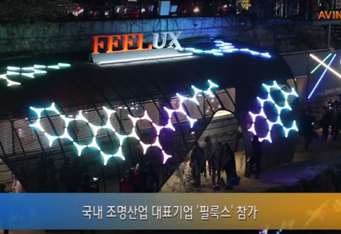 2014 Seoul Lantern Festival