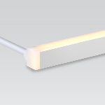 FLXible Neon 3D
