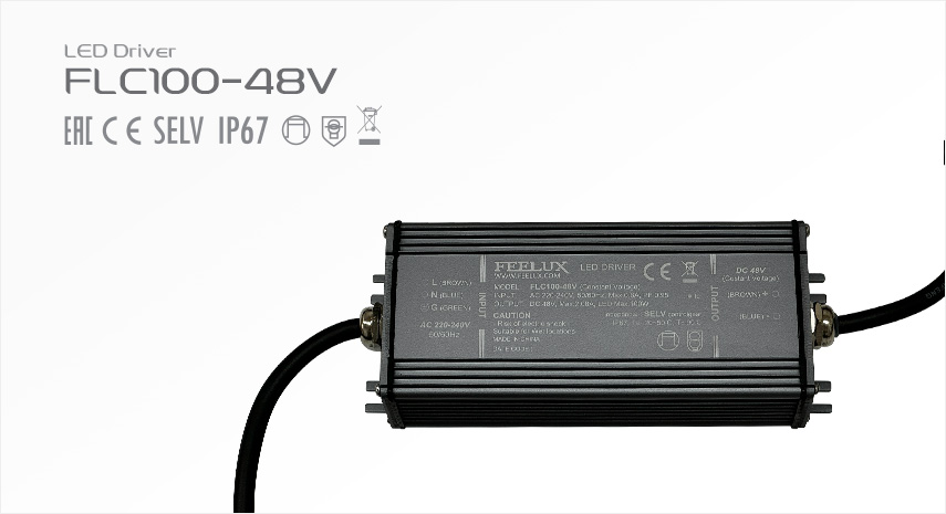 FLC100-48V