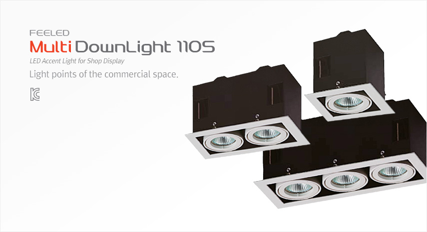 Multi_DownLight_110S