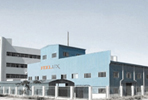 Shandong Boam